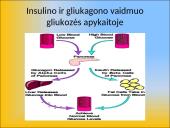 Gliukozės apykaitos reguliacija. Cukrinis diabetas 16 puslapis