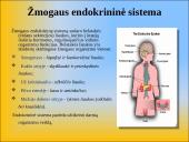 Gliukozės apykaitos reguliacija. Cukrinis diabetas 3 puslapis