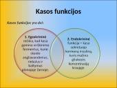 Gliukozės apykaitos reguliacija. Cukrinis diabetas 5 puslapis