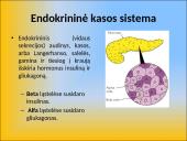 Gliukozės apykaitos reguliacija. Cukrinis diabetas 6 puslapis