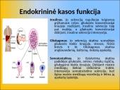 Gliukozės apykaitos reguliacija. Cukrinis diabetas 7 puslapis