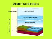 Organizmas ir aplinka Žemėje 2 puslapis