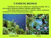 Organizmas ir aplinka Žemėje 11 puslapis