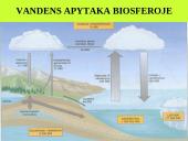 Organizmas ir aplinka Žemėje 12 puslapis
