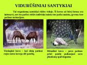 Organizmas ir aplinka Žemėje 14 puslapis