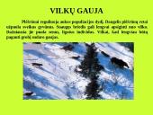 Organizmas ir aplinka Žemėje 15 puslapis