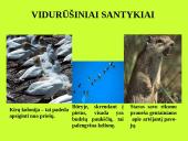 Organizmas ir aplinka Žemėje 16 puslapis