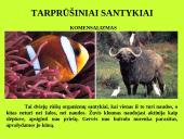 Organizmas ir aplinka Žemėje 17 puslapis