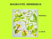 Organizmas ir aplinka Žemėje 19 puslapis