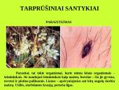 Organizmas ir aplinka Žemėje 20 puslapis