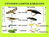 Organizmas ir aplinka Žemėje 5 puslapis