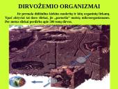 Organizmas ir aplinka Žemėje 6 puslapis