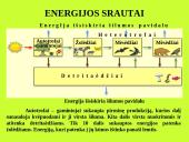 Organizmas ir aplinka Žemėje 7 puslapis