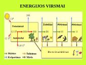 Organizmas ir aplinka Žemėje 8 puslapis