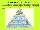 Organizmas ir aplinka Žemėje 9 puslapis