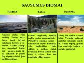 Organizmas ir aplinka Žemėje 10 puslapis