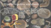 Bestuburių organizmų vystymasis 8 puslapis