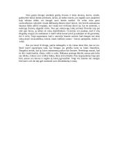 Ar laisvė tikrai yra didžiausia žmogaus vertybė? 2 puslapis