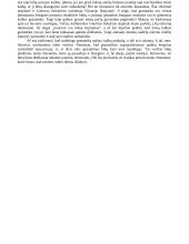 Ar verta atsisakyti nosinių raidžių vartojimo? 2 puslapis