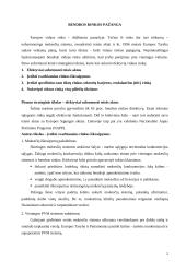 Bendrosios rinkos pažanga 2 puslapis