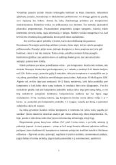 Internetas mūsų gyvenime 3 puslapis