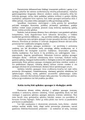 Jei aš būčiau aplinkos apsaugos ministrė... 3 puslapis