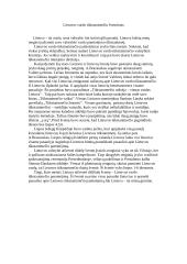 Lietuvos vardo tūkstantmečio šventimas