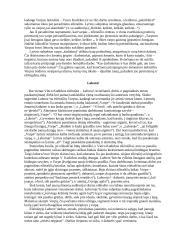 V. Kudirka "Varpas" 2 puslapis