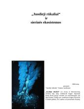 "Juodieji rūkaliai" ir sierinės ekosistemos