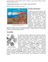 "Juodieji rūkaliai" ir sierinės ekosistemos 3 puslapis