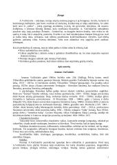 A. Vaičiulaitis "Valentina" - apie autorių, kūrinį ir veikėjus 2 puslapis