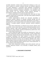 Administracinė, baudžiamoji, civilinė ir drausminė atsakomybė 13 puslapis