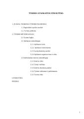 Agresijos raiška šeimoje 2 puslapis