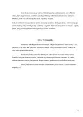 Agresijos raiška šeimoje 13 puslapis