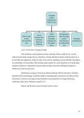 Agresijos raiška šeimoje 10 puslapis