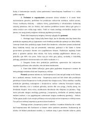 Agroserviso kooperatyvas – technologijų pažangos siekimo būdas 5 puslapis