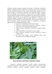 Agrotechninės piktžolių naikinimo priemonės 3 puslapis