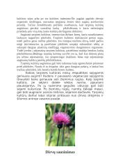 Agrotechninės piktžolių naikinimo priemonės 6 puslapis