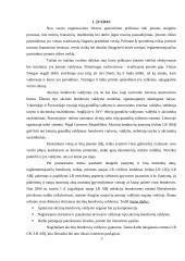 Akcinių bendrovių valdymas ir valdymo organai 3 puslapis