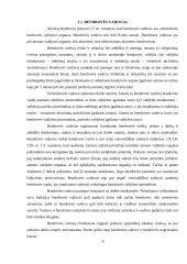 Akcinių bendrovių valdymas ir valdymo organai 6 puslapis