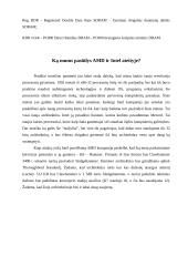 AMD ir Intel procesoriai 10 puslapis