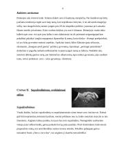 Verslo etiketas Anglijoje 4 puslapis