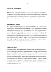 Verslo etiketas Anglijoje 7 puslapis