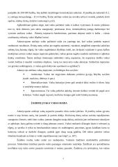 Ankstyvojo amžiaus vaikų vystymosi ypatybės 7 puslapis