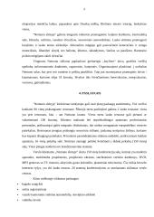 Aplinkos apsaugą reglamentuojantys teisės aktai: viešbutis-restoranas "Nemuno slėnis" 4 puslapis