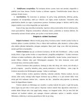 Apranga ir mada 5 puslapis