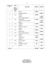 Apskaitos dokumentai vieneto sąnaudoms pripažinti. UAB "Fraska" balansas 13 puslapis