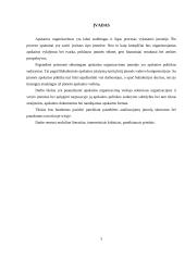 Apskaitos organizavimas viešojo sektoriaus organizacijose ir verslo įmonėje 2 puslapis