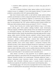 Apskaitos organizavimas viešojo sektoriaus organizacijose ir verslo įmonėje 12 puslapis