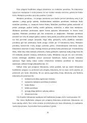 Apskaitos organizavimas viešojo sektoriaus organizacijose ir verslo įmonėje 17 puslapis